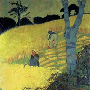 Harvest Scene (oil on canvas)