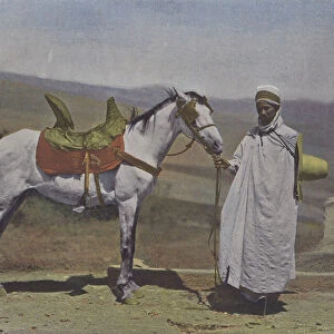 Le Cheval arabe (coloured photo)