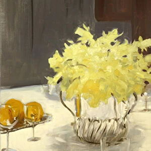 Still Life with Daffodils, 1885-95 (oil on canvas)