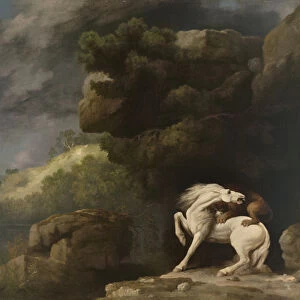 A Lion Attacking a Horse, 1770 (oil on canvas)