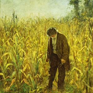 Man in a Cornfield, (oil on board)