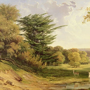 Mereworth Park, Kent (oil on canvas)