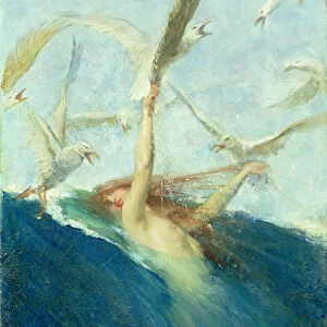 A Mermaid Being Mobbed by Seagulls