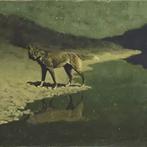 Moonlight, Wolf, c. 1904 (oil on canvas)