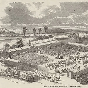 New Cattle-Market at Croydon (engraving)