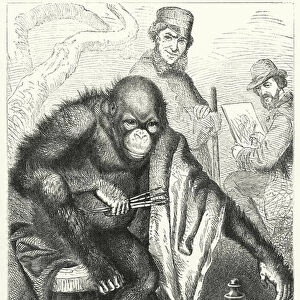 The Orang and the Artist (engraving)