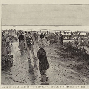 Oyster Cultivation in Brittany, English Visitors at the Oyster Beds at Cancale (engraving)