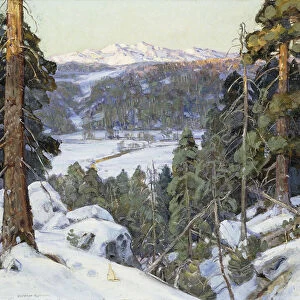Pines in Winter, (oil on canvas)