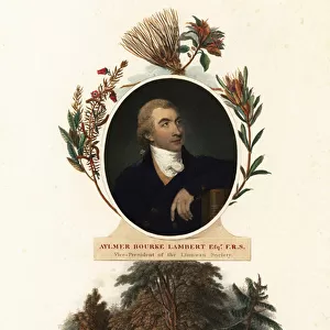 Portrait of Aylmer Bourke Lambert, botanist. 1805 (engraving)