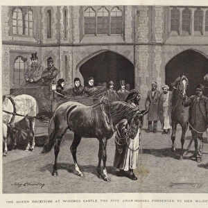 The Queen receiving at Windsor Castle the Five Arab Horses presented to Her Majesty by the Sultan of Muscat (engraving)