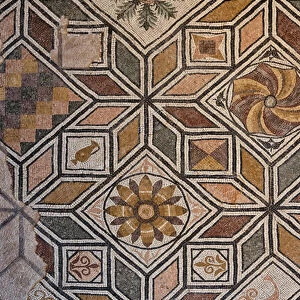One of the Roman domus of Ortaglia: detail of the mosaic floor of the Viridarium (mosaic)