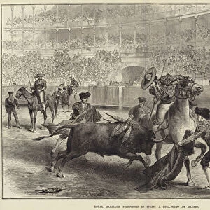 Royal Marriage Festivities in Spain, a Bull-Fight at Madrid (engraving)