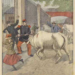 A sentry stopping a bull (colour litho)