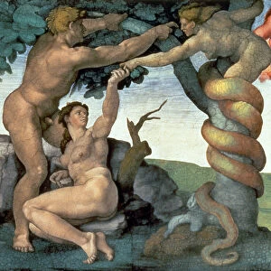 Sistine Chapel Ceiling (1508-12): The Fall of Man, 1510 (fresco) (post restoration)