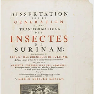 Title Page from Metamorphosis Insectorum Surinamensium, 1726 (engraving & letterpress)