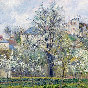 The Vegetable Garden with Trees in Blossom, Spring, Pontoise, 1877 (oil on canvas)