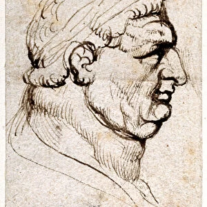 Vitellius, from ten drawings of eight of the first twelve Caesars