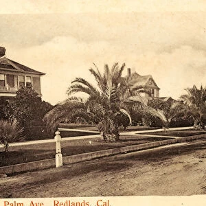 1904 California Redlands A Palm Ave United States