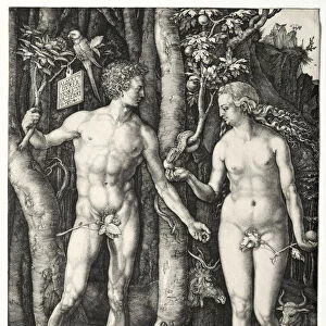 Adam Eve 1504 Albrecht Dürer German 1471-1528