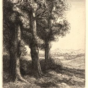 Alphonse Legros (French, 1837 - 1911). The Edge of the Woods (La Liseuse: La Lecture