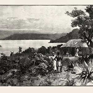 CENTRAL AFRICA, KAVALA ISLAND ON LAKE TANGANYIKA, engraving 1890, engraved image