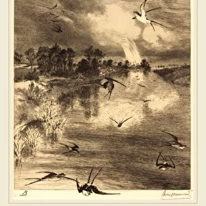 Felix Bracquemond (French, 1833-1914), The Swallows, c