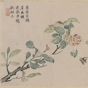 Flowering Branch Bees 18th Century China Qing dynasty