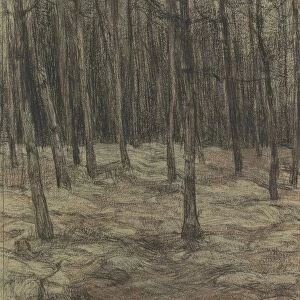 Forest landscape Jan Veth 1885 paper chalk
