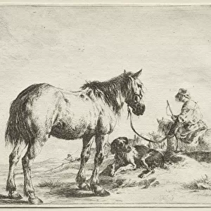 Horse Fastened Stake Dirck Stoop Dutch 1618-1681