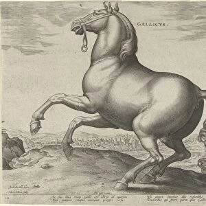 Horse from France, Gallicus, print maker: Hieronymus Wierix, Jan van der Straet, Philips Galle