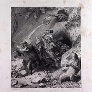 Isegrim and the Monkeys