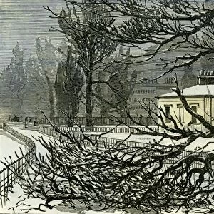 kensington gardens, london, 1887, damage, trees, queens gate, vintage, old print