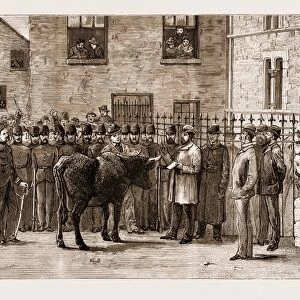 The Land Agitation in Ireland, 1881: boy Cotters Boycotted : at Sligo