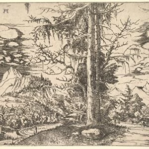 Landscape Double Spruce Foreground ca 1521-22