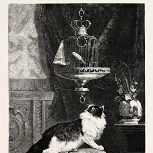 A LONGING LOOK, PICTURE BY HENRIETTE RONNER, engraving 1890, engraved image, history