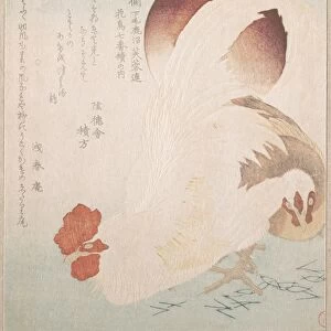 Rising Sun Cock Hen Edo period 1615-1868 ca