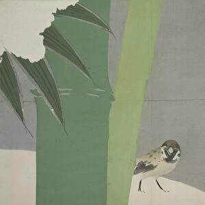 Sparrow and Bamboo. Kamisaka, Sekka, (Artist), Date Issued: 1909, Momoyogusa = Flowers