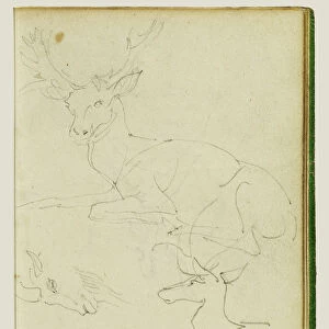 Studies Seated Stag Fawn Goat Head Theodore Gericault