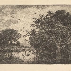 Swans Marsh 1851 Etching laid paper fifth sixth states