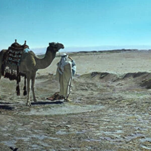 Wilderness Shur Exodus 1522 1950 Egypt Sinai