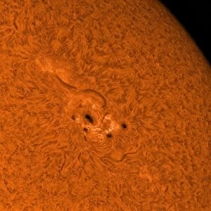 H-alpha Sun in orange with active area