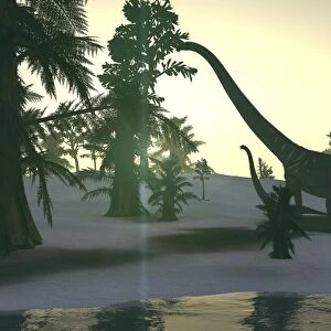 Mamenchisaurus and her offspring walking a prehistoric environment