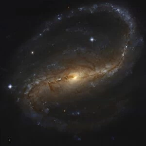 NGC 7479, barred spiral galaxy in the constellation Pegasus