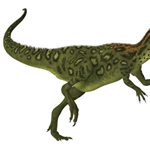 Side profile of a Masiakasaurus dinosaur