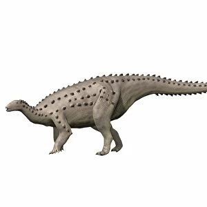 Scelidosaurus harrisonii, Early Cretaceous of England