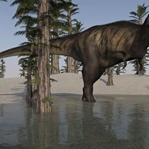 Tyrannosaurus Rex hunting for its next meal in shallow water