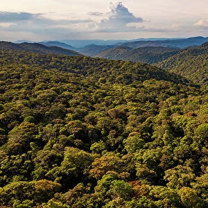 View over the rainforest canopy reaching into the distance, Mount Lewis National Park, Wet Tropics World Heritage area, Queensland, Australia. December, 2021