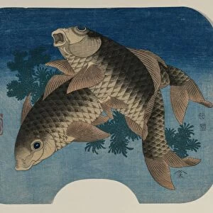 Carp Swimming by Water Weeds, 1831. Creator: Katsushika Hokusai (Japanese, 1760-1849)
