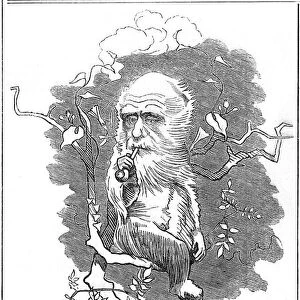 Charles Darwin, English naturalist, 1875. Artist: Edward Linley Sambourne