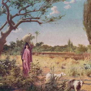 A Pastoral near Damietta, c1880, (1904). Artist: Robert George Talbot Kelly